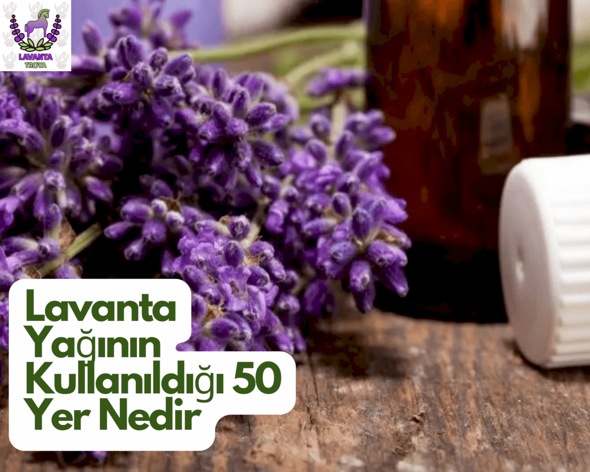 Lavanta Yağının Kullanıldığı 50 Yer Nedir