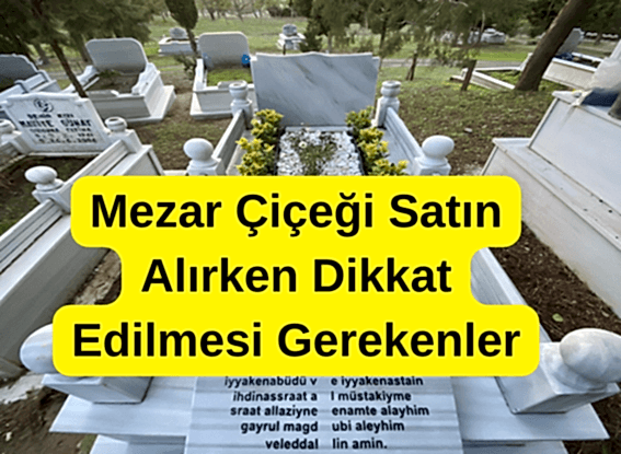 Mezar Çiçeği Satın Alırken Dikkat Edilmesi Gerekenler Nelerdir